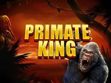 Springbok Casino screenshot